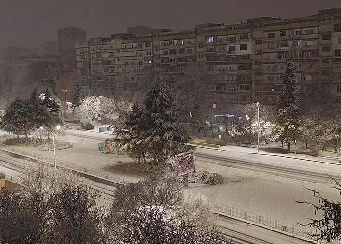 Trend * بورغاس